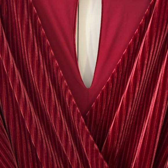 Anthro Velvet Jumpsuit - Picture 7 of 7